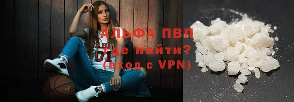 прущие грибы Сатка