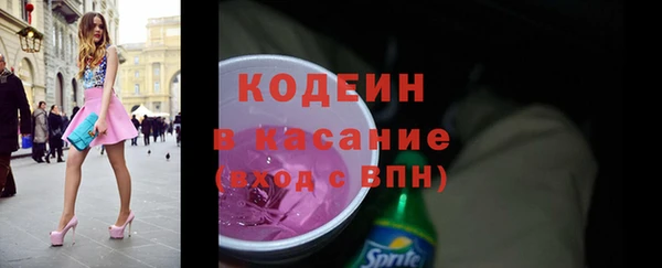 прущие грибы Сатка
