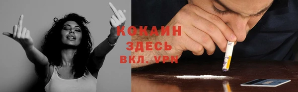 прущие грибы Сатка