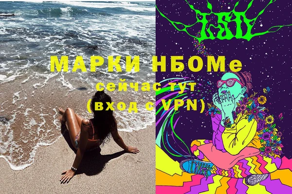 прущие грибы Сатка