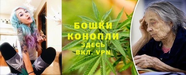 прущие грибы Сатка