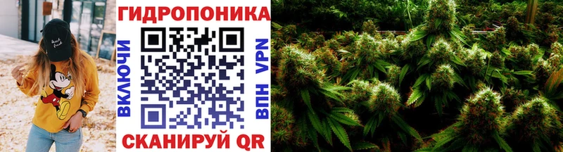 Бошки марихуана VHQ  Сольцы 